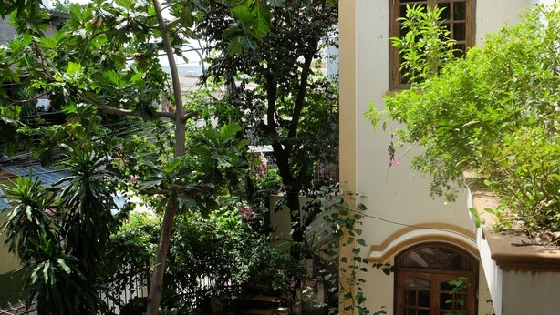 A courtyard with a white umbrella, potted plants, and a wooden bench. - Moon House Nha Trang (Nha Trang)