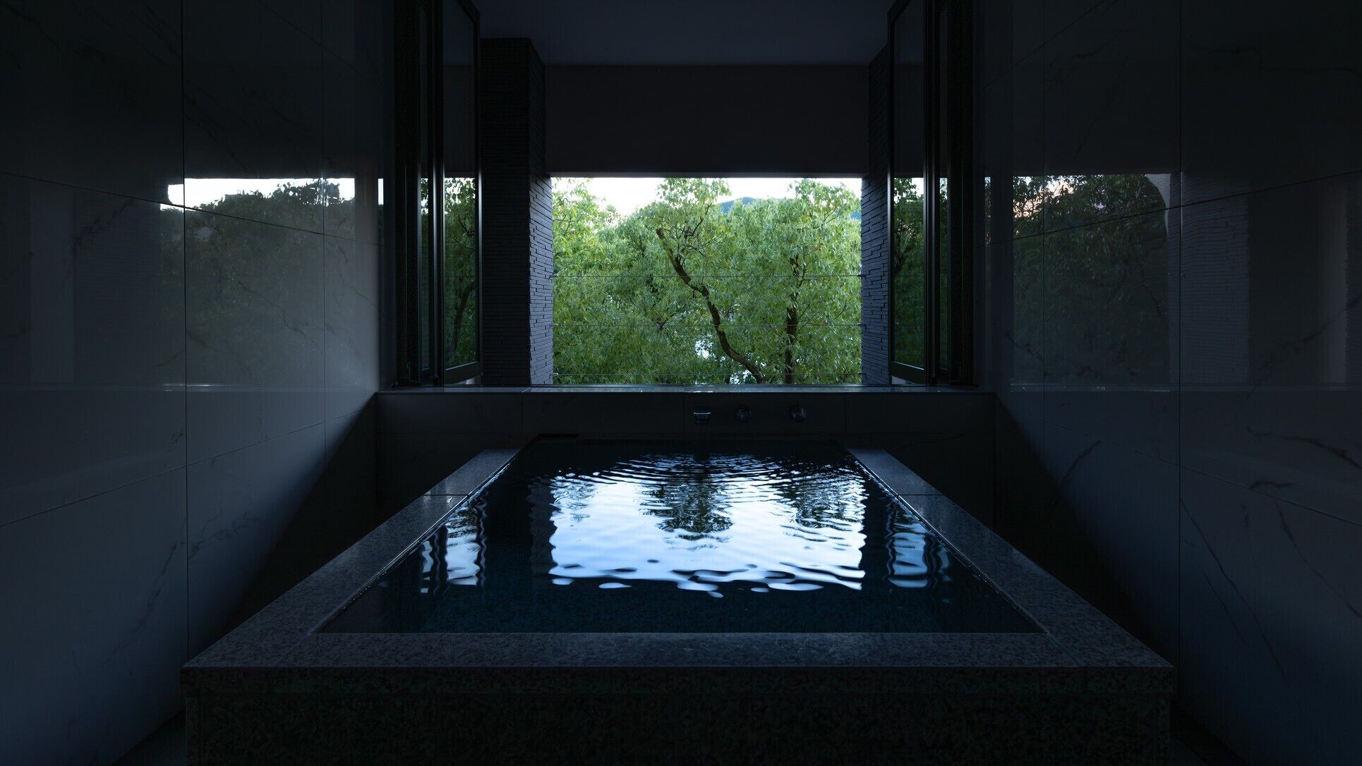 A rectangular pool with a clear view of trees through the window.