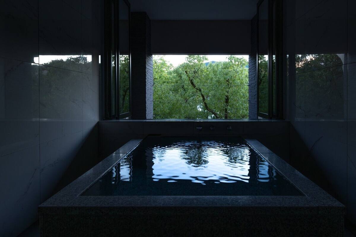 A rectangular pool with a clear view of trees through the window.