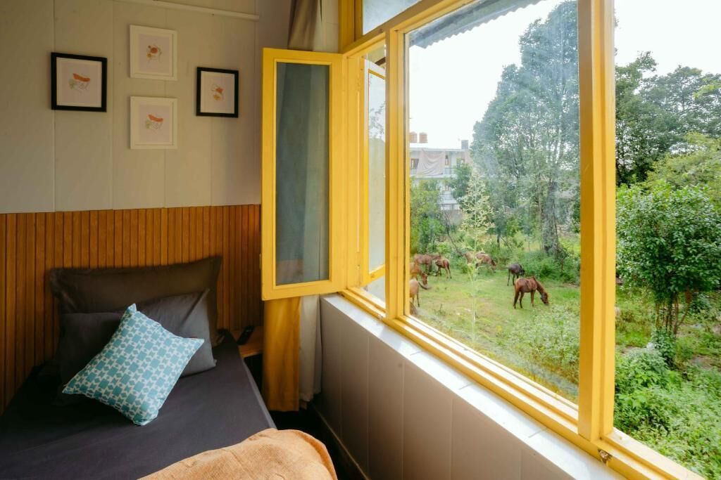 A room with a bed, a window with a yellow frame, and a view of animals grazing outside.