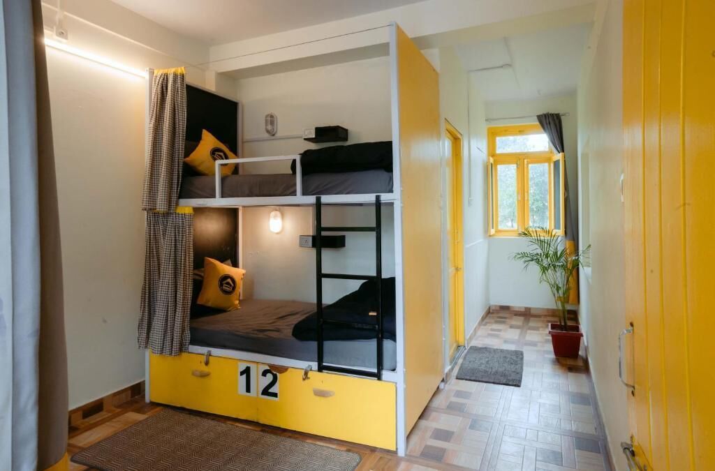 A dormitory room with bunk beds, a window, and a potted plant.