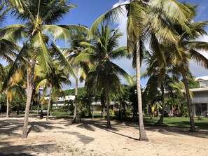 Property grounds - BEAUTIFUL GROUND FLOOR, SEASIDE STUDIO FLAT (Le Moule)