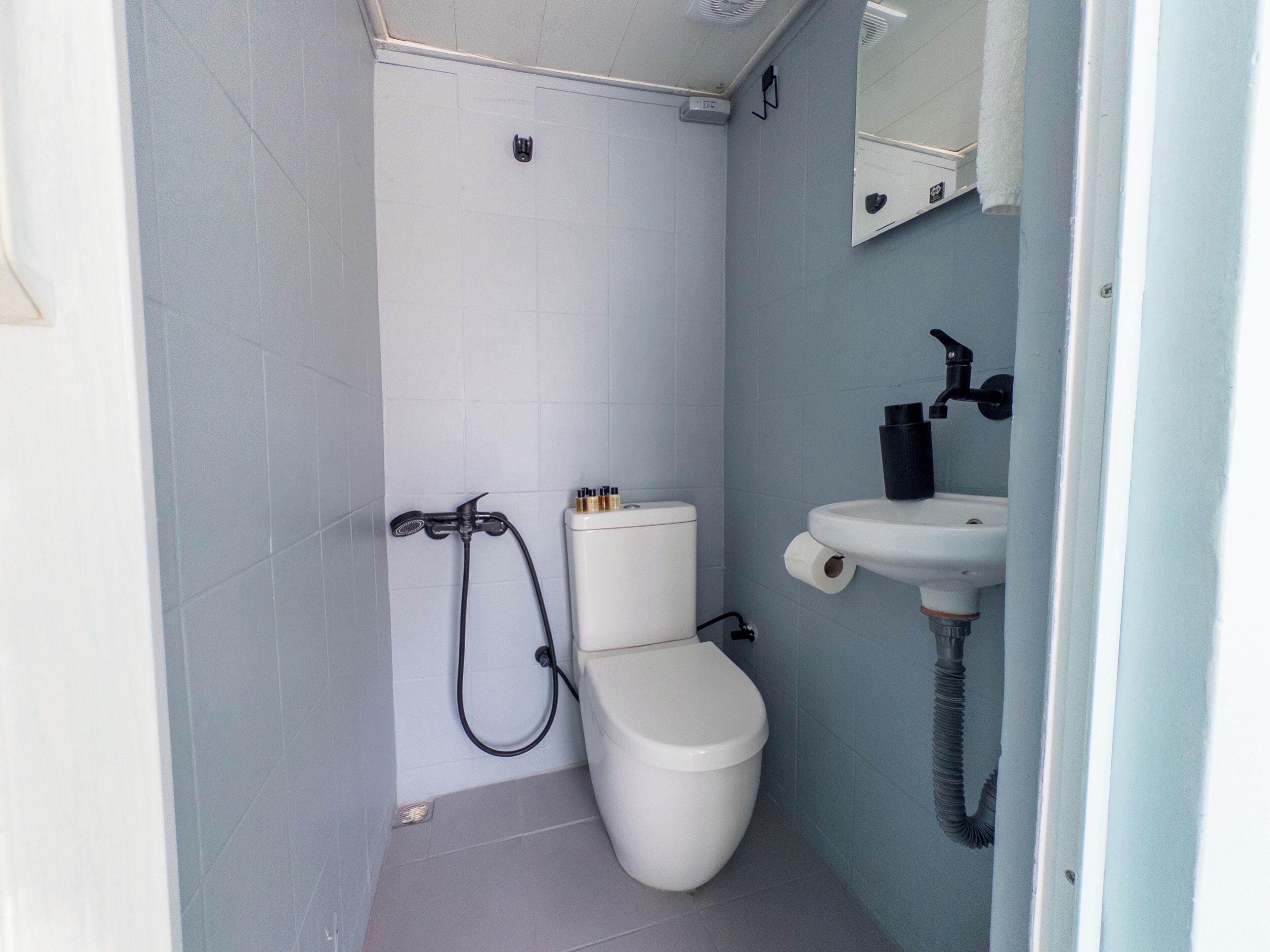 A small bathroom with a toilet, a sink, and a shower.