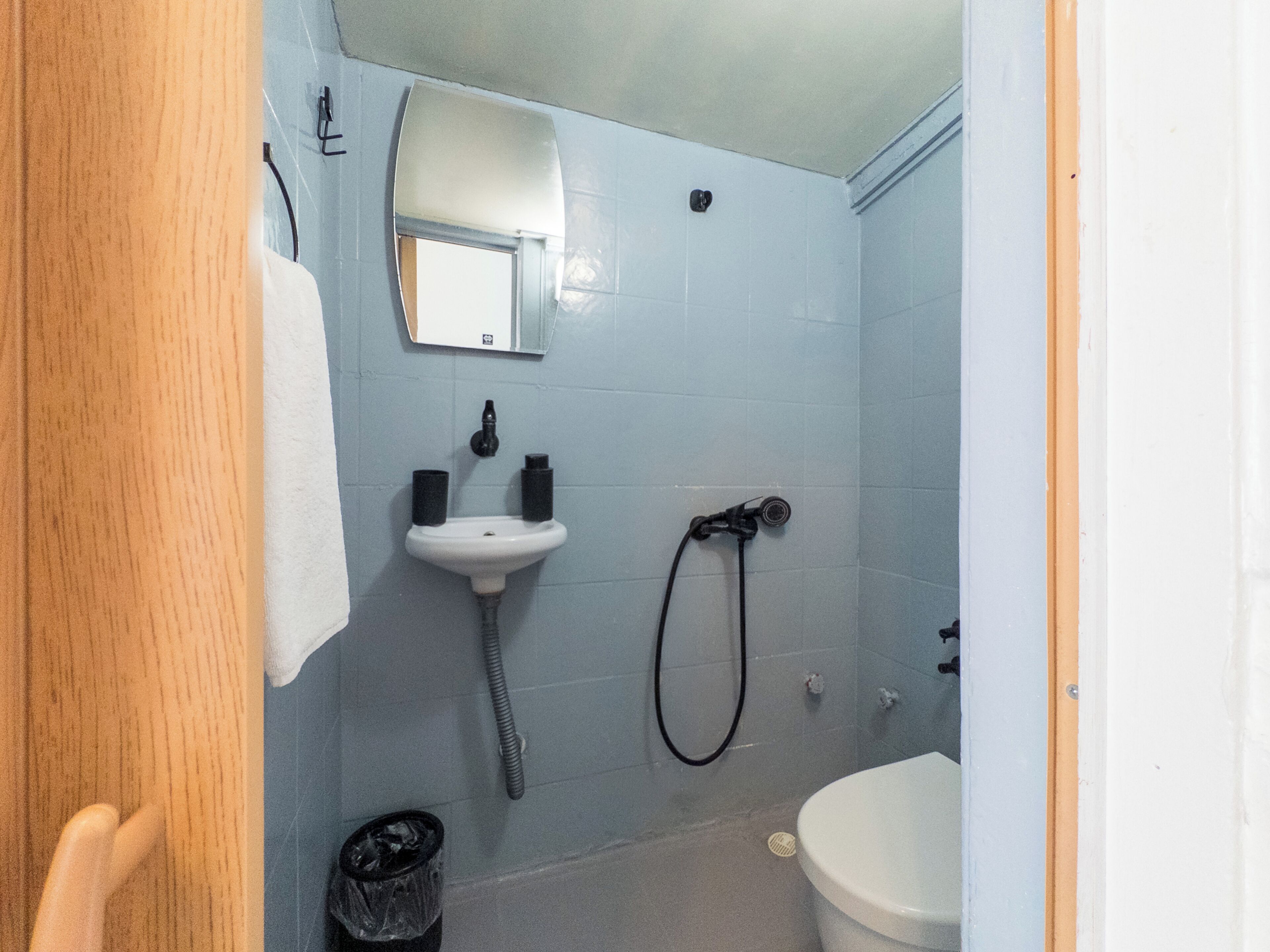 Baño con lavamanos, espejo, ducha e inodoro.