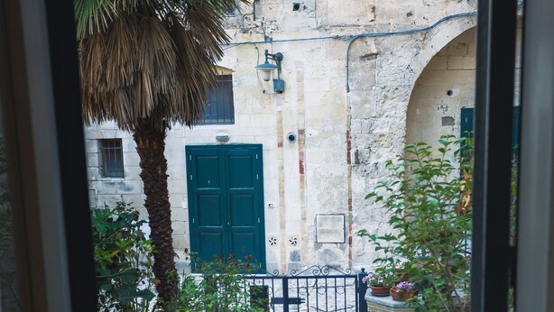 A courtyard with a palm tree, potted plants, a stone floor, and a green door. - B&B Donna Lina (Matera)