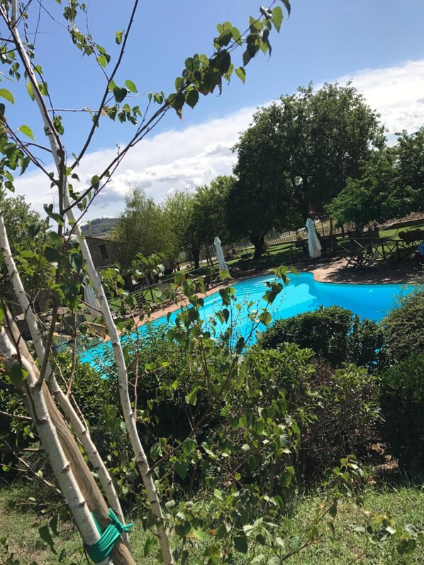 Outdoor pool, pool loungers - Azienda Agrituristica I Tre Casali (Magione)