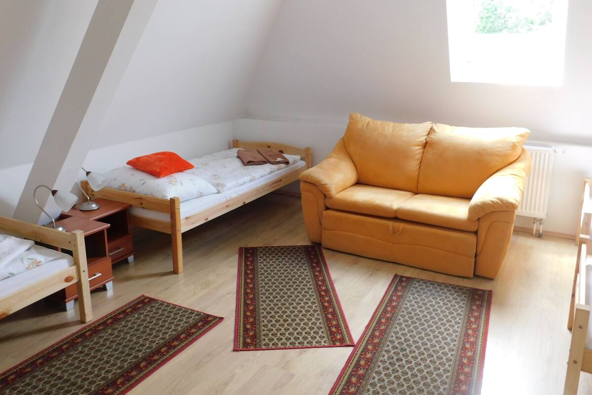 Una habitación pequeña y bien iluminada con una cama en altillo, un sofá y dos alfombras.