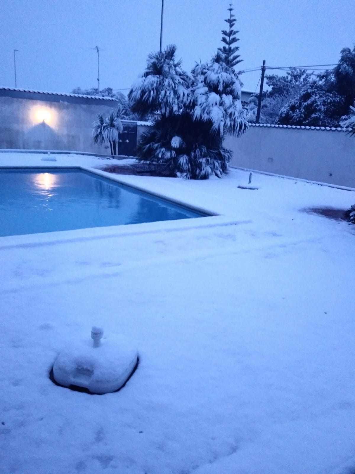 Una piscina rodeada de suelo y árboles cubiertos de nieve.