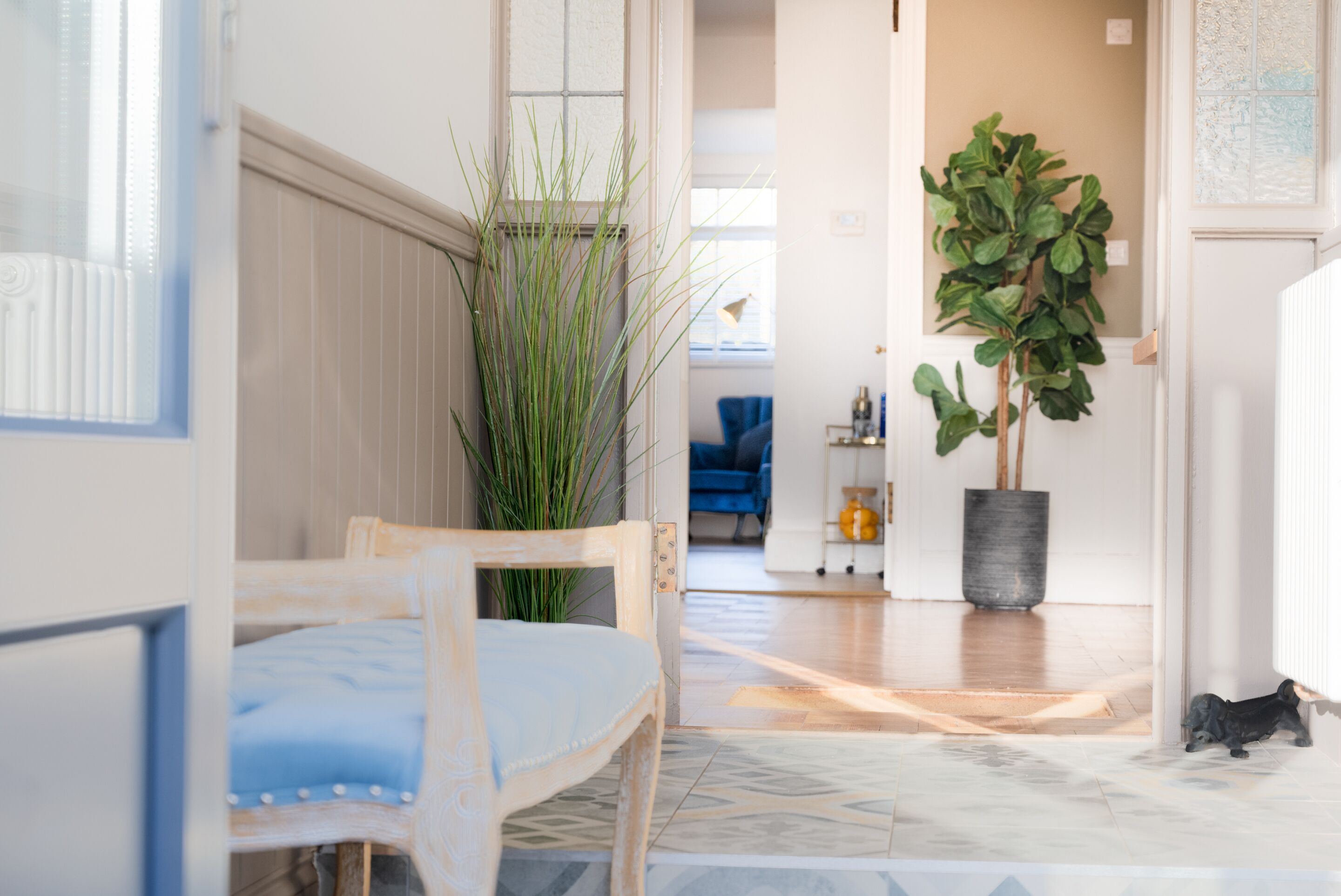 A room with a wooden chair, a potted plant, and a cat on the floor.
