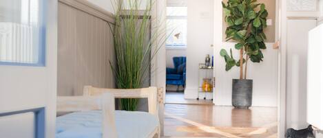 A room with a wooden chair, a potted plant, and a cat on the floor.