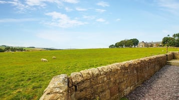 奢華平房, 獨立浴室 (Bungalow ) | 住宿景觀