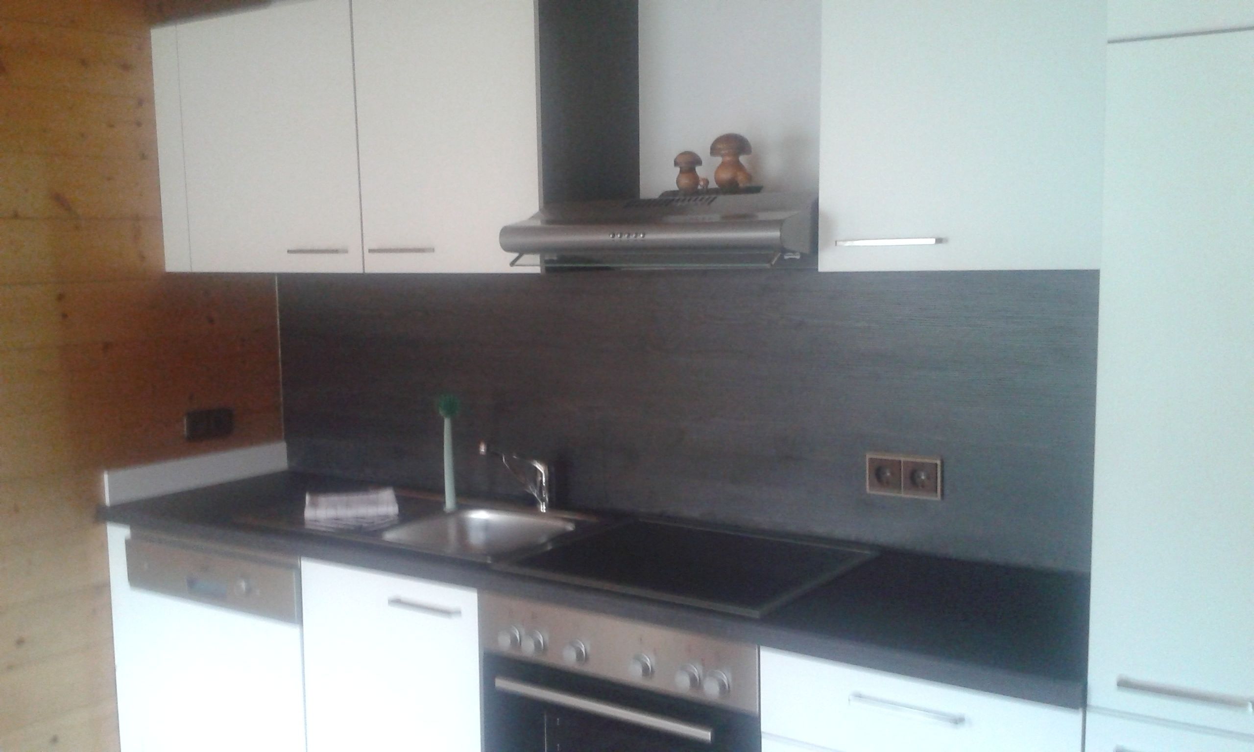 Apartment, Balkon | Eigene Küche | Großer Kühlschrank, Ofen, Herdplatte