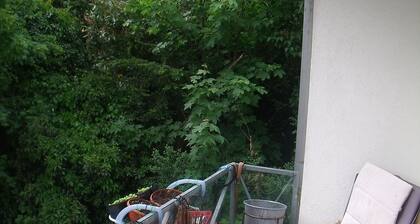 2 Zimmer Wohnung in Alt-Eschersheim ( Bad&Balkon) Inserat