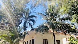 Ein weißes Gebäude mit Veranda, umgeben von Palmen und anderer Vegetation.