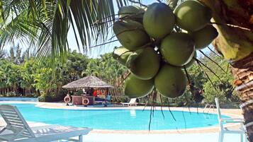 Outdoor pool, sun loungers