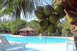 Outdoor pool, sun loungers - Hawaii Resort Phu Quoc (Phu Quoc)