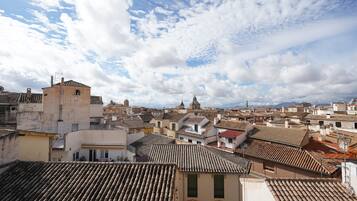 Vue depuis le balcon