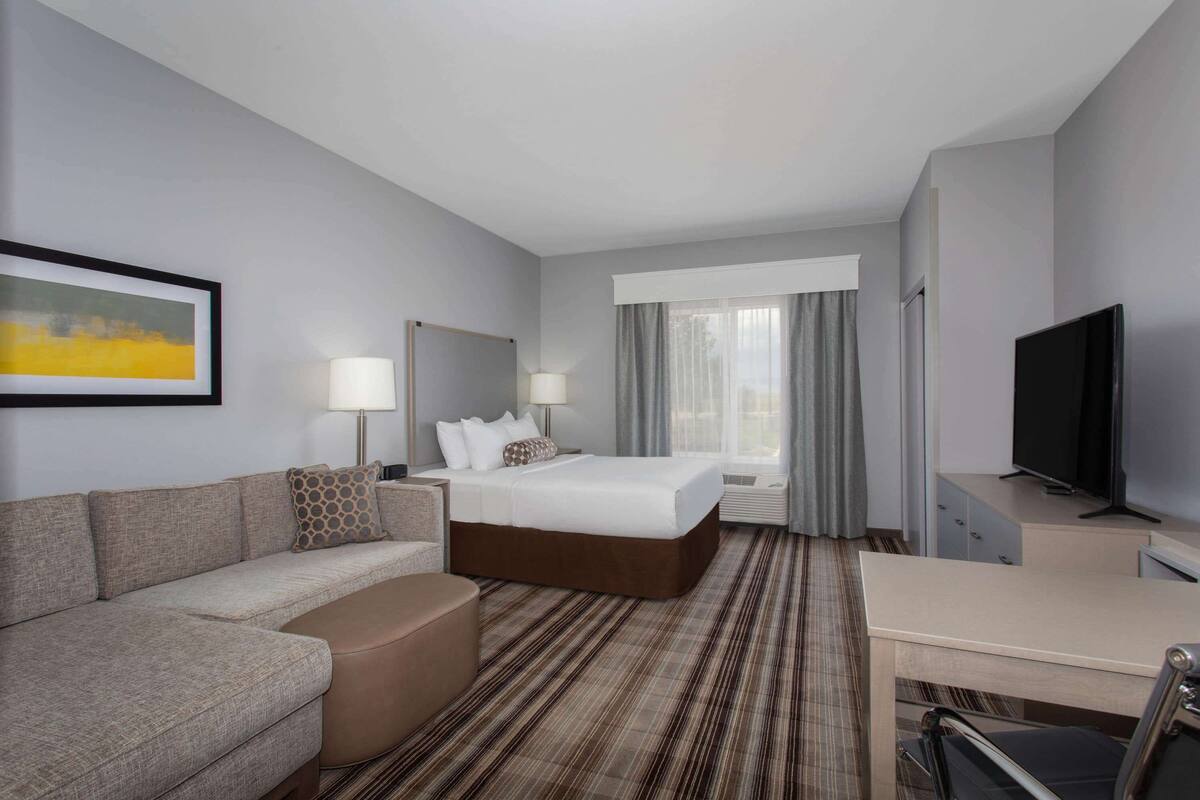Een hotelkamer met een bed, een bank, een bureau, een televisie en een schilderij aan de muur.