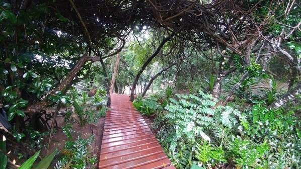 Áreas de la propiedad