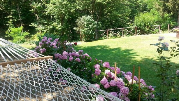 Una hamaca en un jardín con flores rosas y una valla de madera al fondo.