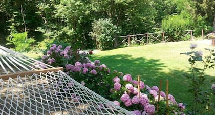 Forest View B&B