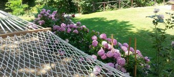 Forest View B&B