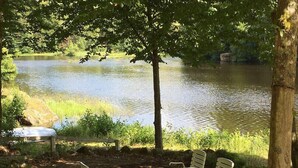Eine friedliche Seenlandschaft mit Picknicktisch und vier Stühlen unter einem Baum.