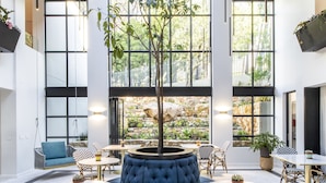 A modern interior with a central seating area, large windows, and a unique ceiling structure. - Camissa House (Cape Town)