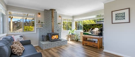 Smart TV, fireplace, Netflix, DVD player
