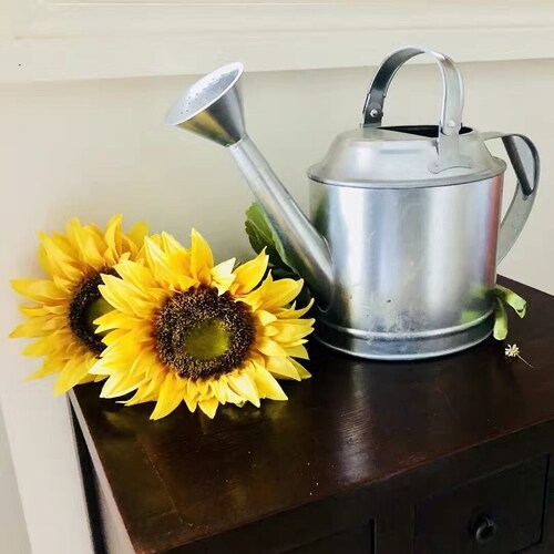 Sunflower Cottage - relax with spa bath and fireplace