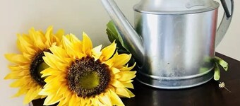 Sunflower Cottage - relax with spa bath and fireplace