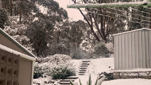 Un jardin enneigé avec un escalier menant à un bâtiment.
