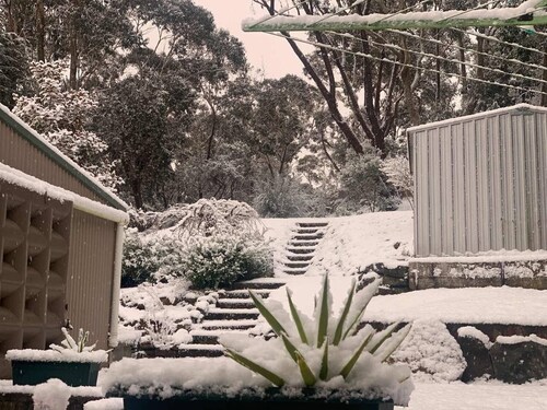 Sunflower Cottage - between Katoomba and Leura