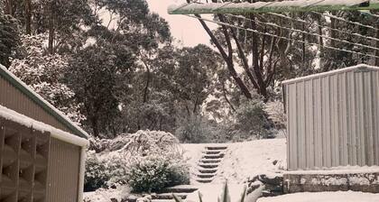 Sunflower Cottage - between Katoomba and Leura