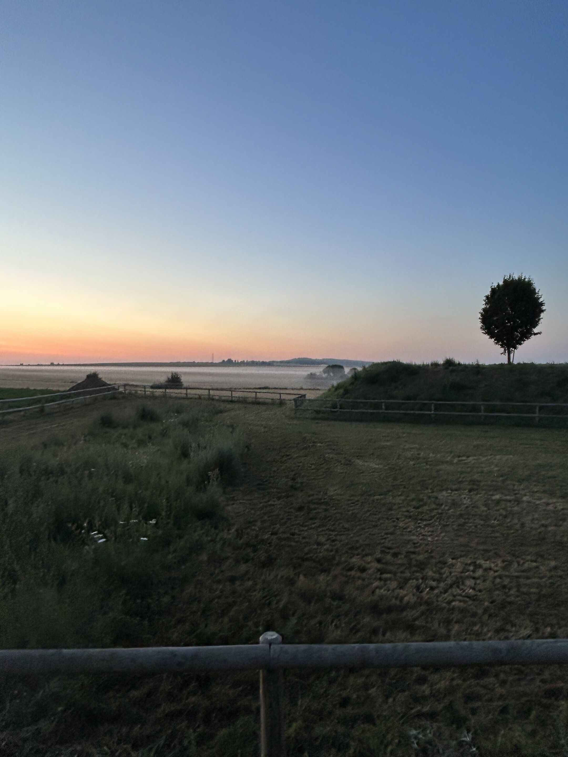 Un campo cubierto de hierba con una cerca, un árbol solitario y una vista distante de un cuerpo de agua.