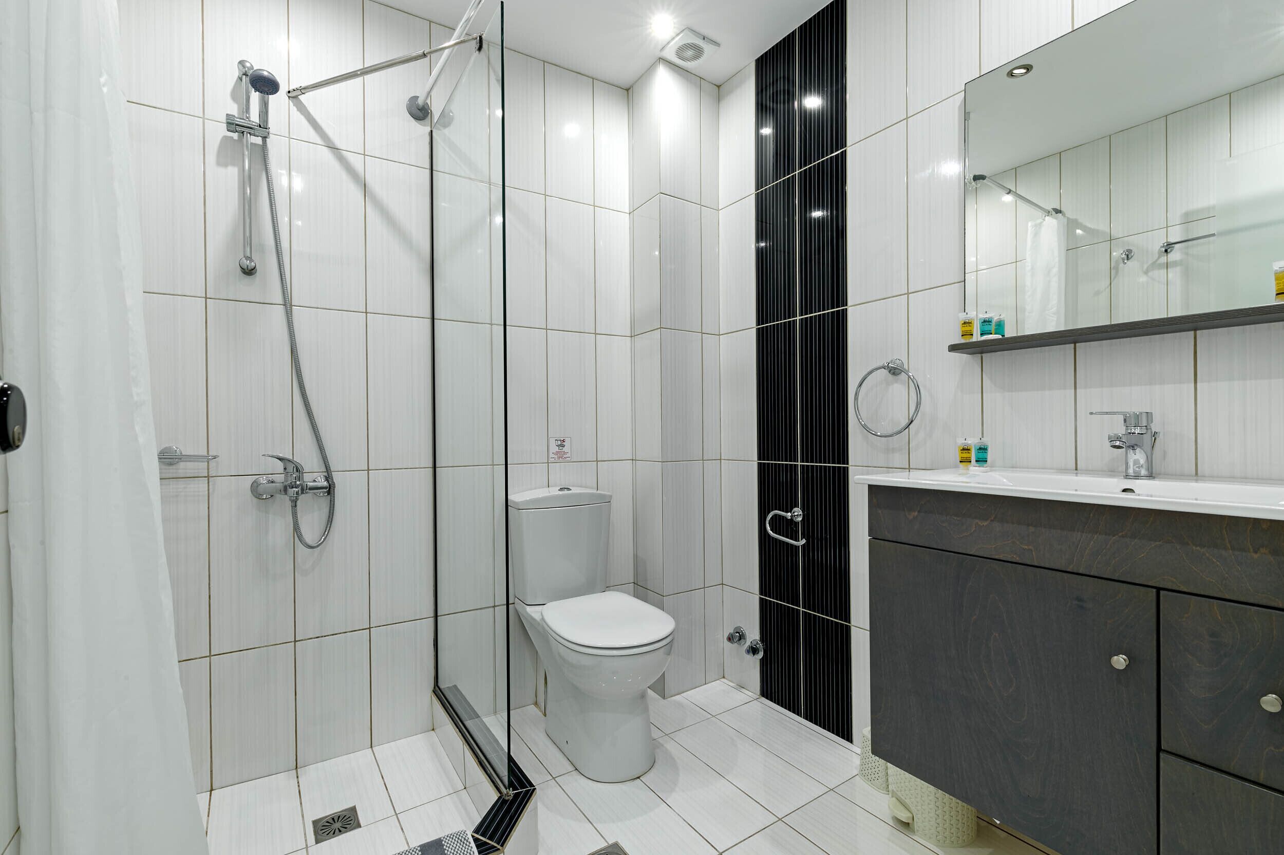 A modern bathroom with a glass shower enclosure, a toilet, and a vanity with a mirror.