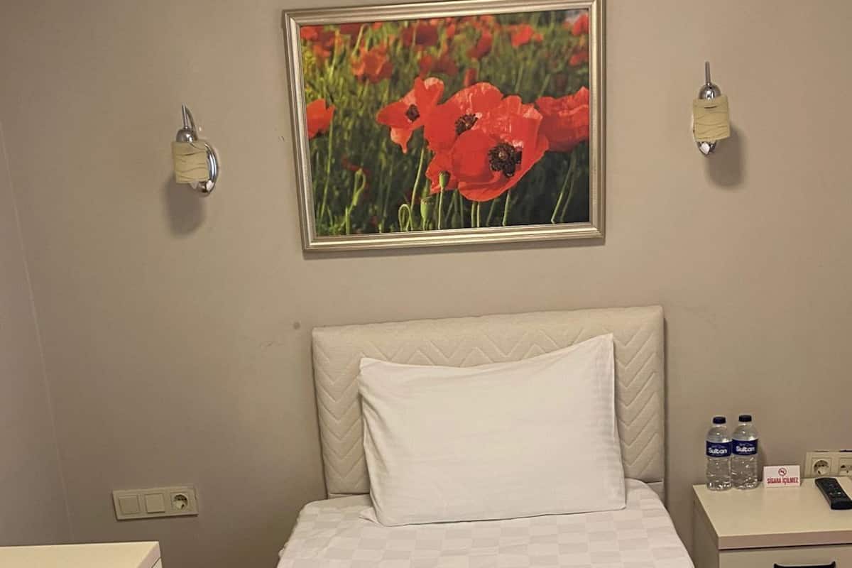 Economy Single Room | Minibar, free WiFi, bed sheets