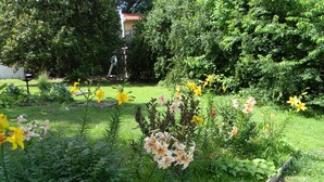 Un jardín con diversas plantas y flores, una cerca de madera y un edificio al fondo.