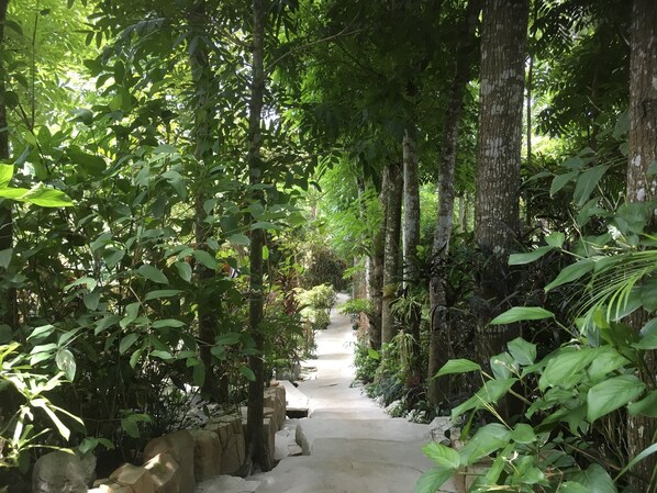 Property grounds - Family room for 7 pax w/ 2 bedrooms, 2 T&B, 2 queen size and 1 single bed w/ private sala (Silang, Cavite)