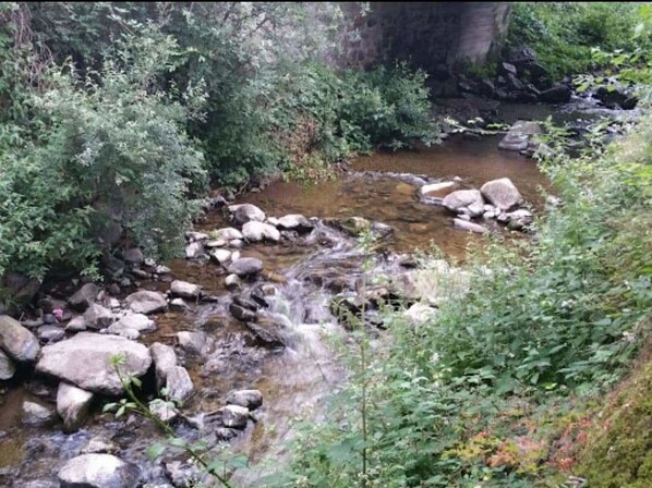A natural stream with rocks and vegetation. - Hotel des Voyageurs (Ferrières-Saint-Mary)