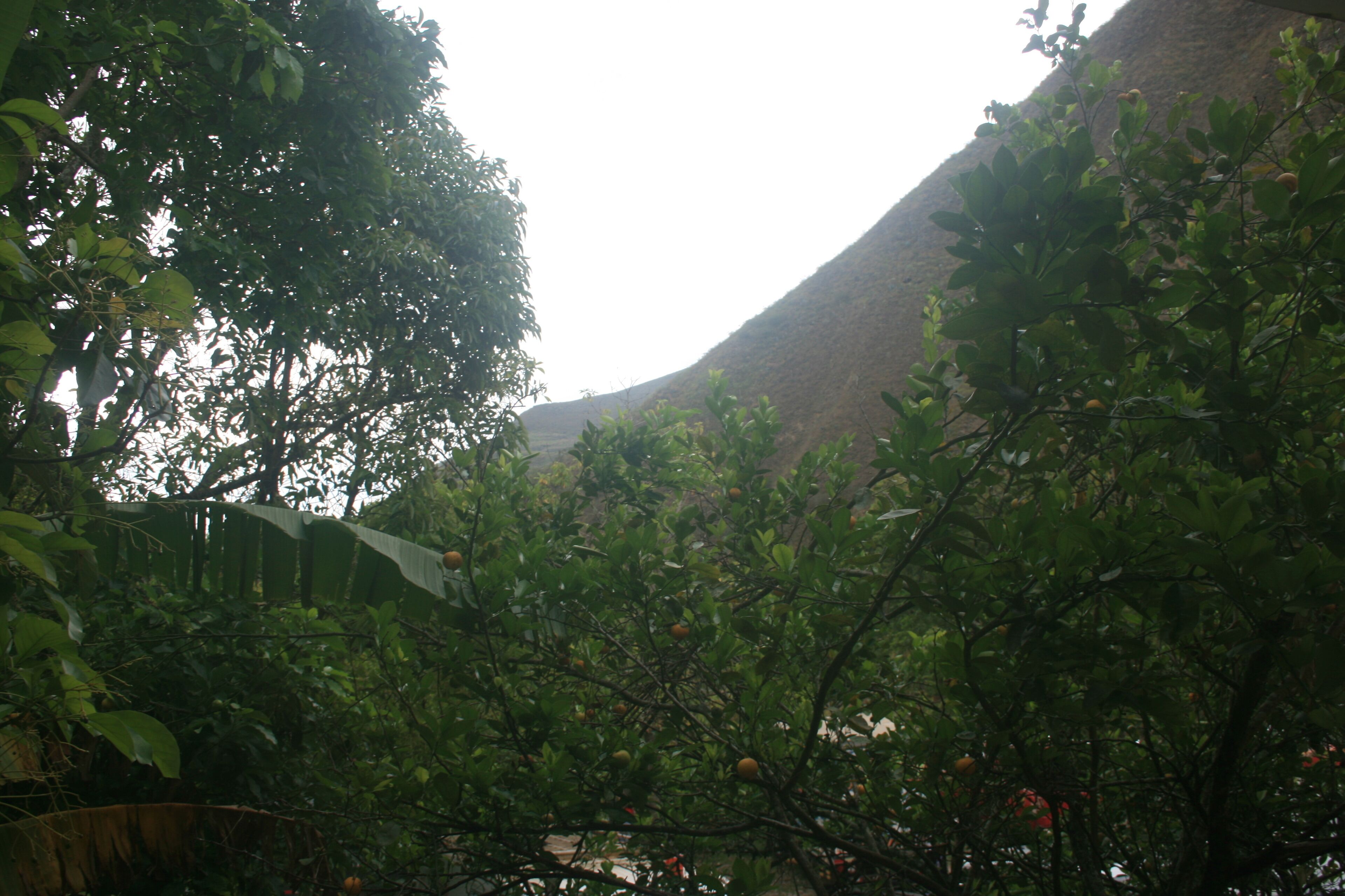 A view of a mountainous landscape with dense foliage and trees.
