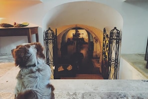 Pet-friendly