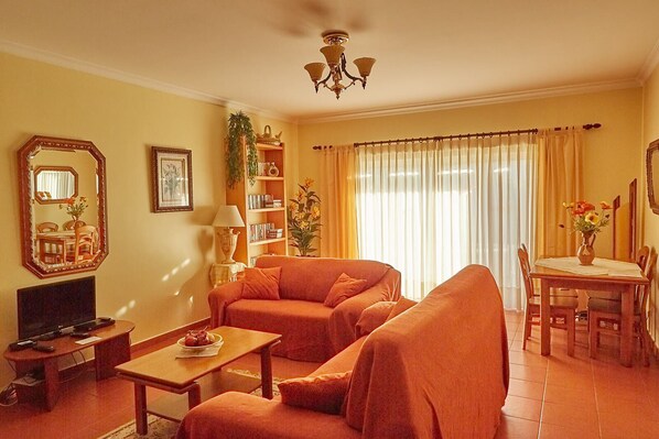 TV, fireplace, DVD player, books