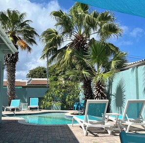 Outdoor pool - Palm trees, Private pool, Minutes from fabulous beaches.  (Noord, Bakval)