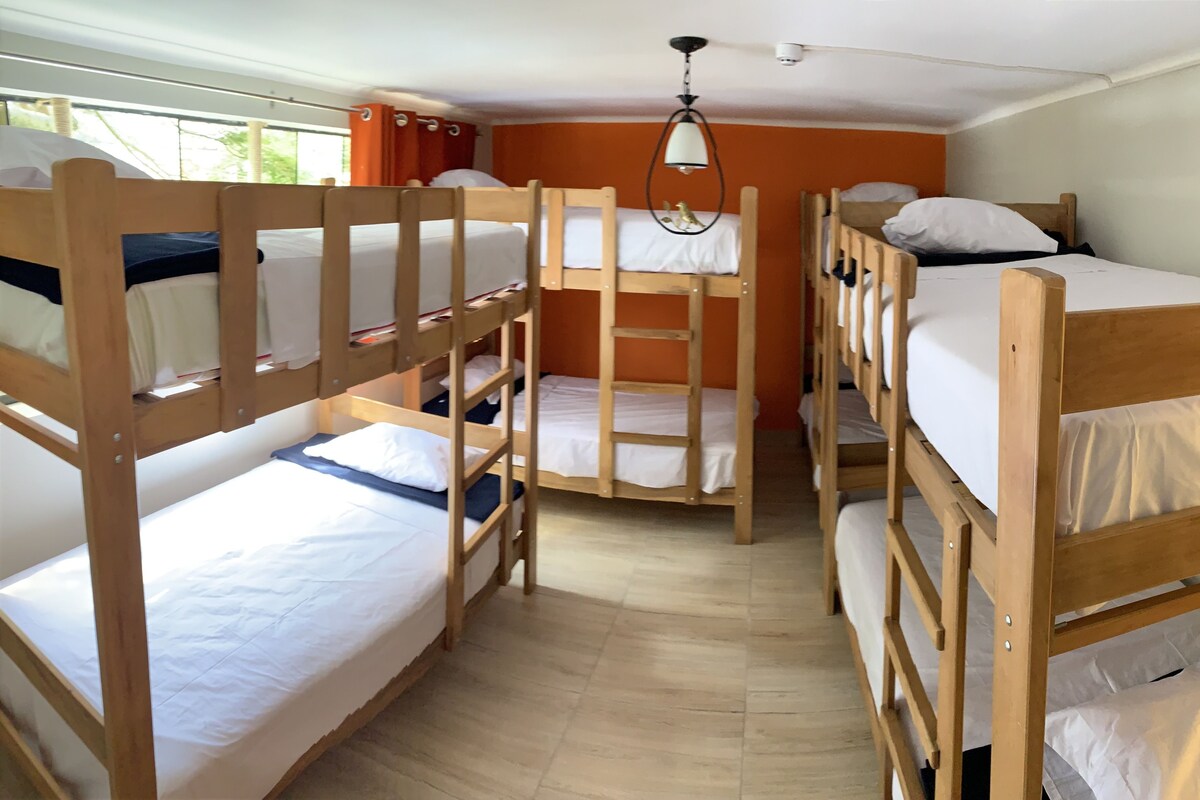 Felles sovesal – standard, for menn og kvinner, byutsikt (4 Bunk Beds, 8 Guests) | Sengetøy av topp kvalitet, wi-fi (inkludert) og sengetøy