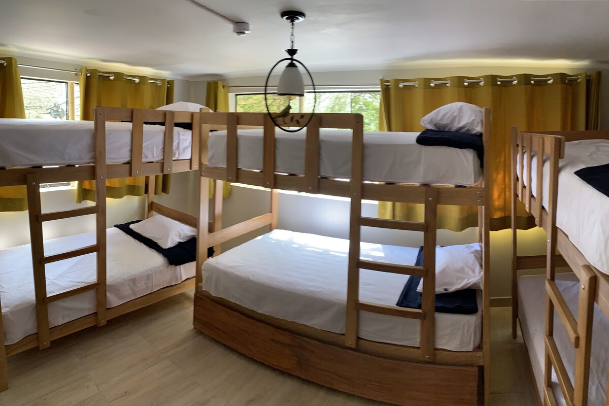 Felles sovesal – standard, kun for kvinner (7 Beds, 7 Guests) | Sengetøy av topp kvalitet, wi-fi (inkludert) og sengetøy