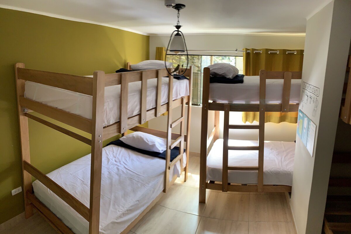Felles sovesal – standard, for menn og kvinner (6 Bunk Beds, 12 Guests) | Sengetøy av topp kvalitet, wi-fi (inkludert) og sengetøy