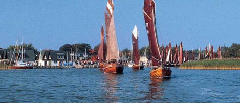Sailboats on a calm body of water with a dock and buildings in the background.