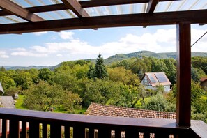 Unclassified image, 4 of 24, button