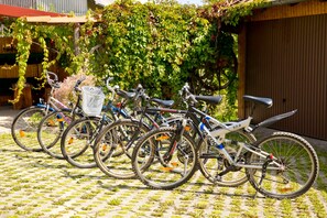 A row of bicycles parked on a paved surface with a wooden fence and greenery in the background.